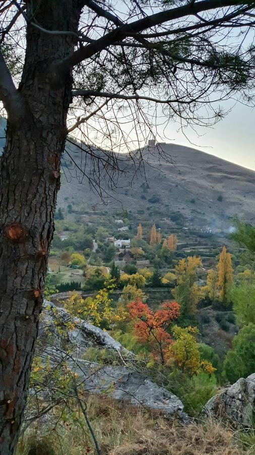 Alojamiento Rural Fuente De La Glorieta Казорла Екстериор снимка